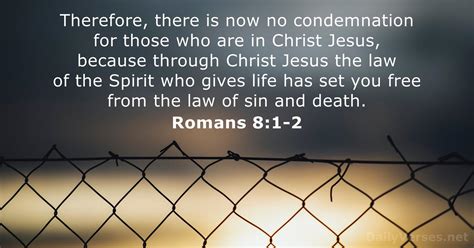 roma 8:1|Romans 8 NIV .